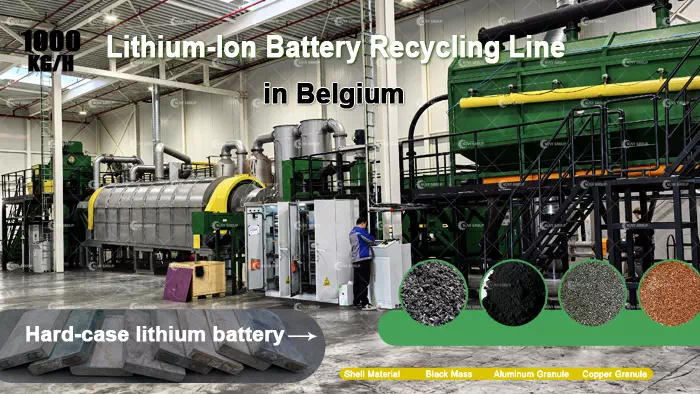Plant for Recycling Lithium-Ion Battery